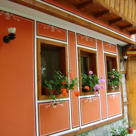 Guest House Todorini Kashti Koprivstica Kültér fotó