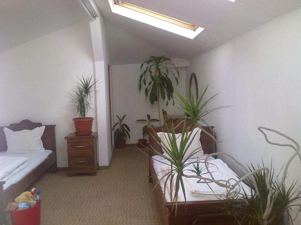 Guest House Todorini Kashti Koprivstica Szoba fotó